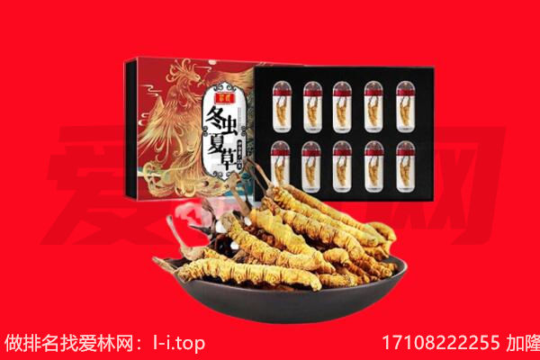 金华市东阳回收虫草.jpg